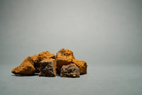 Chaga Mushroom
